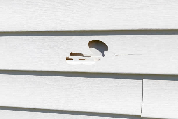 Best Storm Damage Siding Repair  in Crosspointe, VA