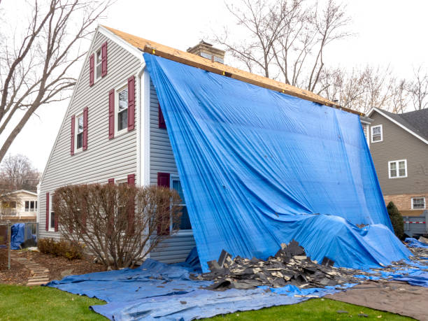 Best Stone Veneer Siding  in Crosspointe, VA